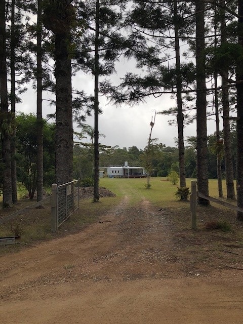 Rainforest Retreat At Paluma