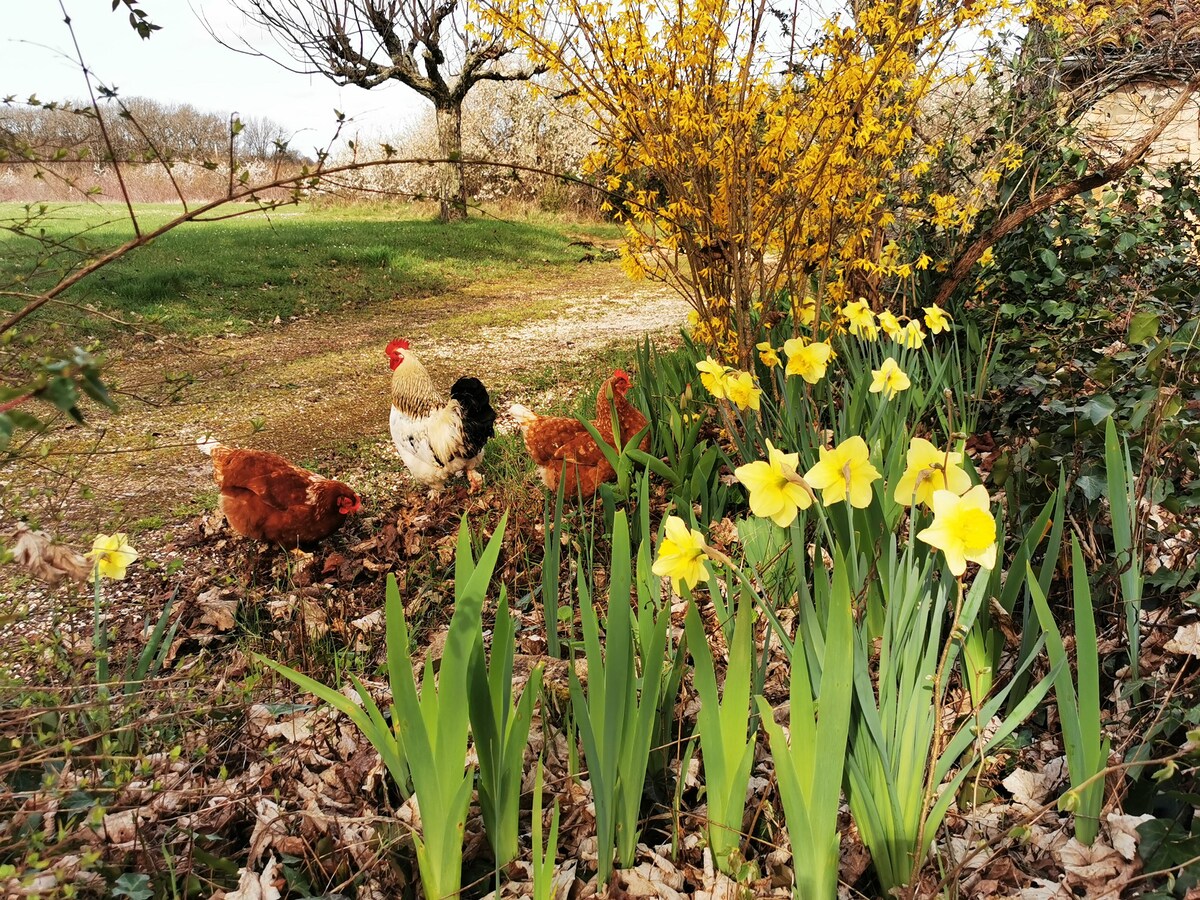 Gîtes 2/3 pers, Domaine de l'Epine Noire