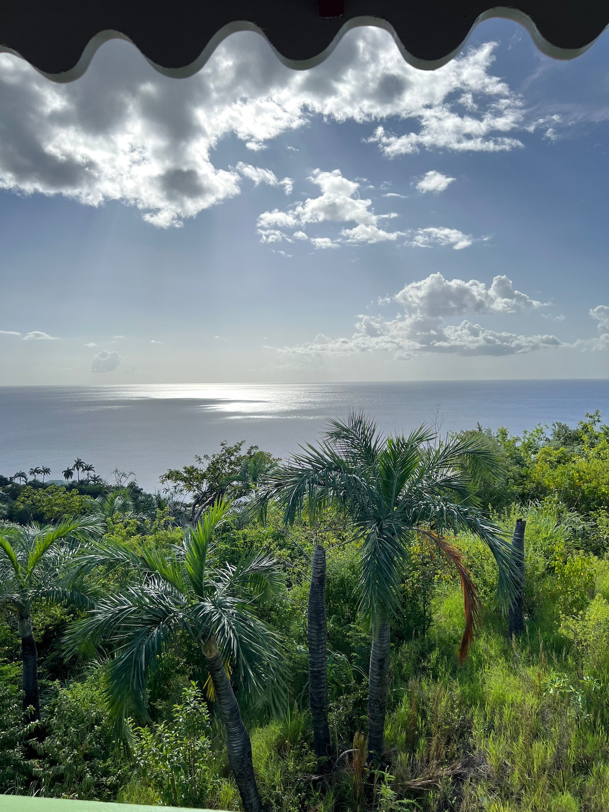 翡翠棕榈公寓（ Emerald Palm ） - 2卧室全景顶层公寓