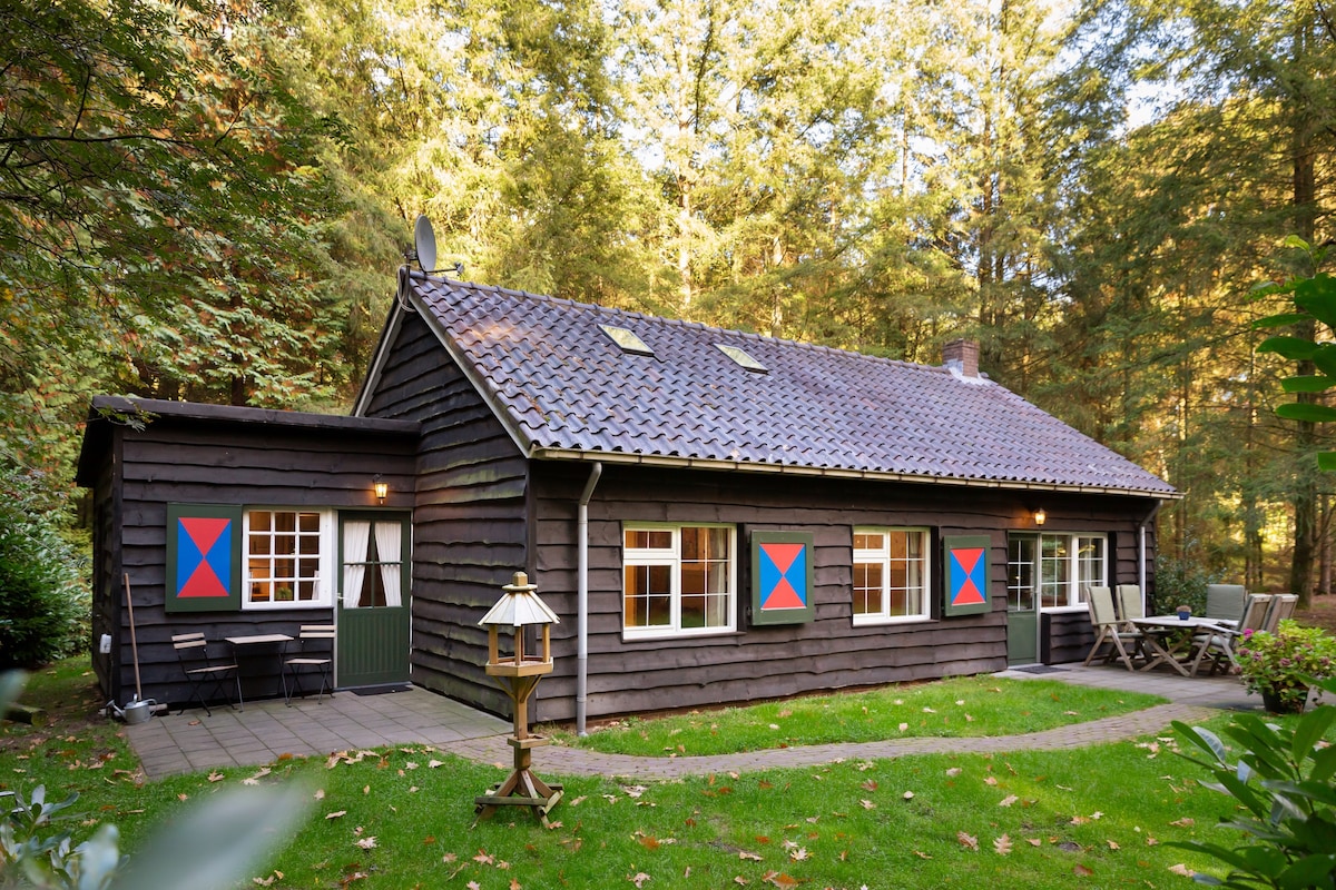 Wildhoef ：舒适的森林小屋，距离阿姆斯特丹1小时车程。