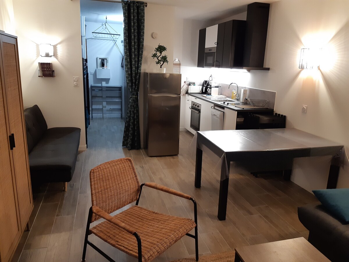Aillon-Margériaz 1000 ，阳光明媚的公寓。