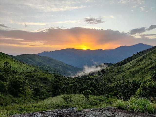 科代卡纳尔(Kodaikanal)的民宿