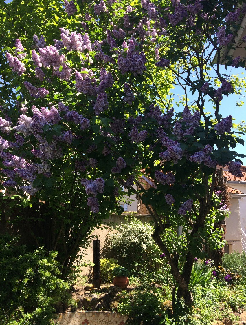 Maison à louer pour les vacances