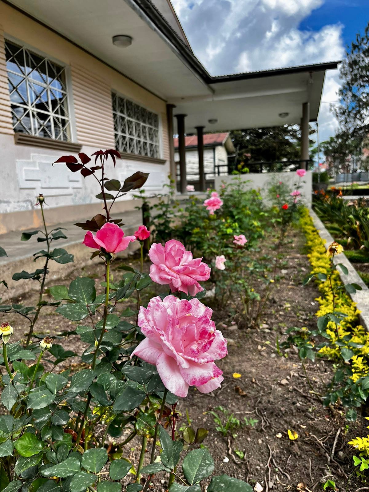 La Casa  de los Abuelos