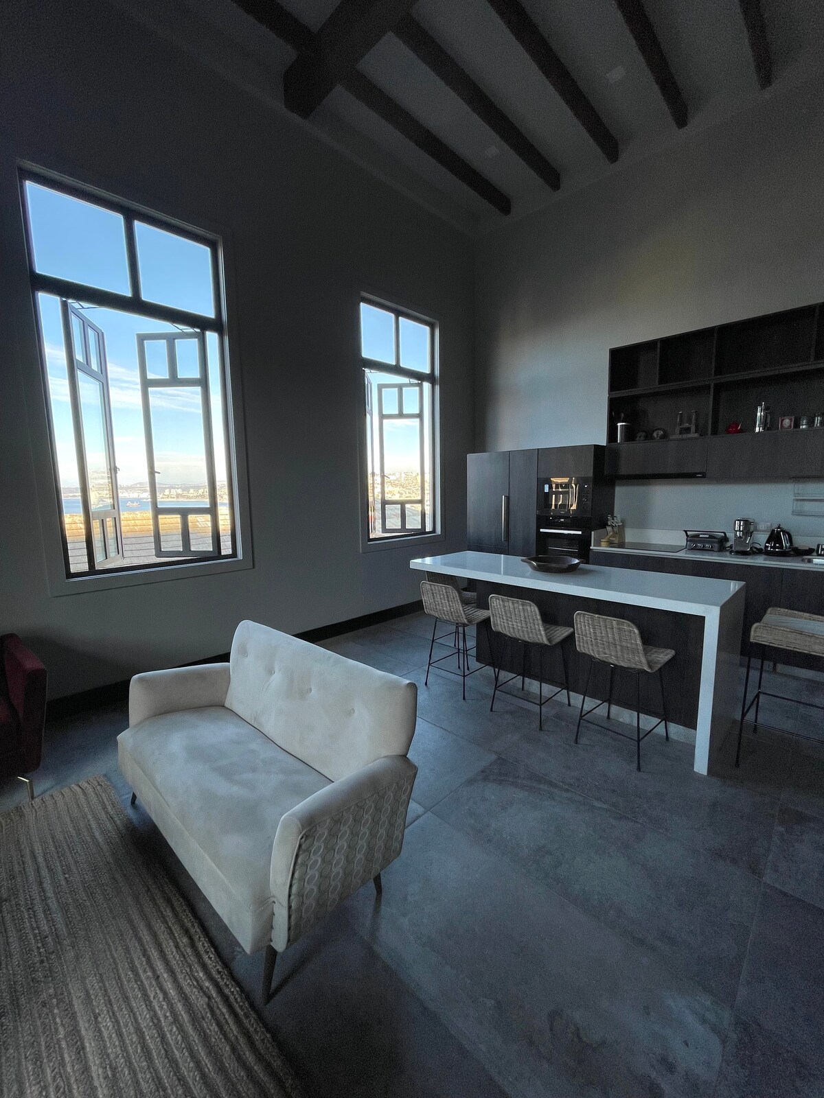 Magnificent Loft in Cerro Alegre with harbor view