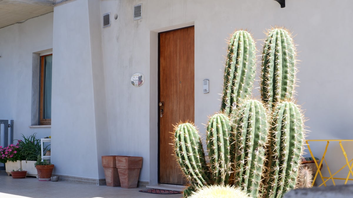 B&B del Cactus ，私人公寓
