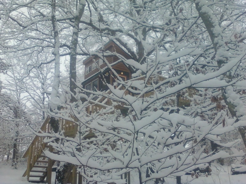 White Oak Tree House by Garden of the Gods