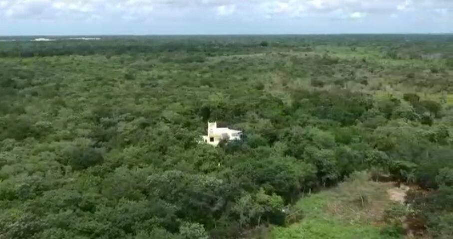 Yucatan的民宿