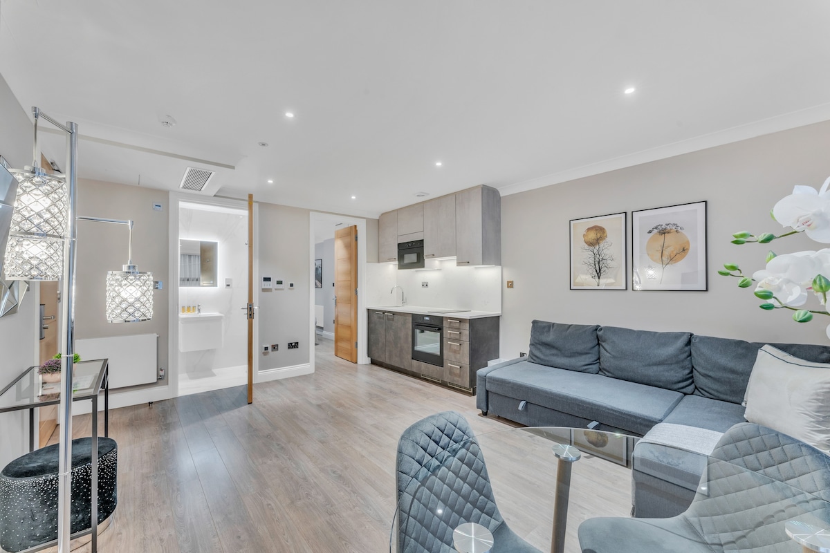 Charming 1-Bedroom Apartments in Farringdon