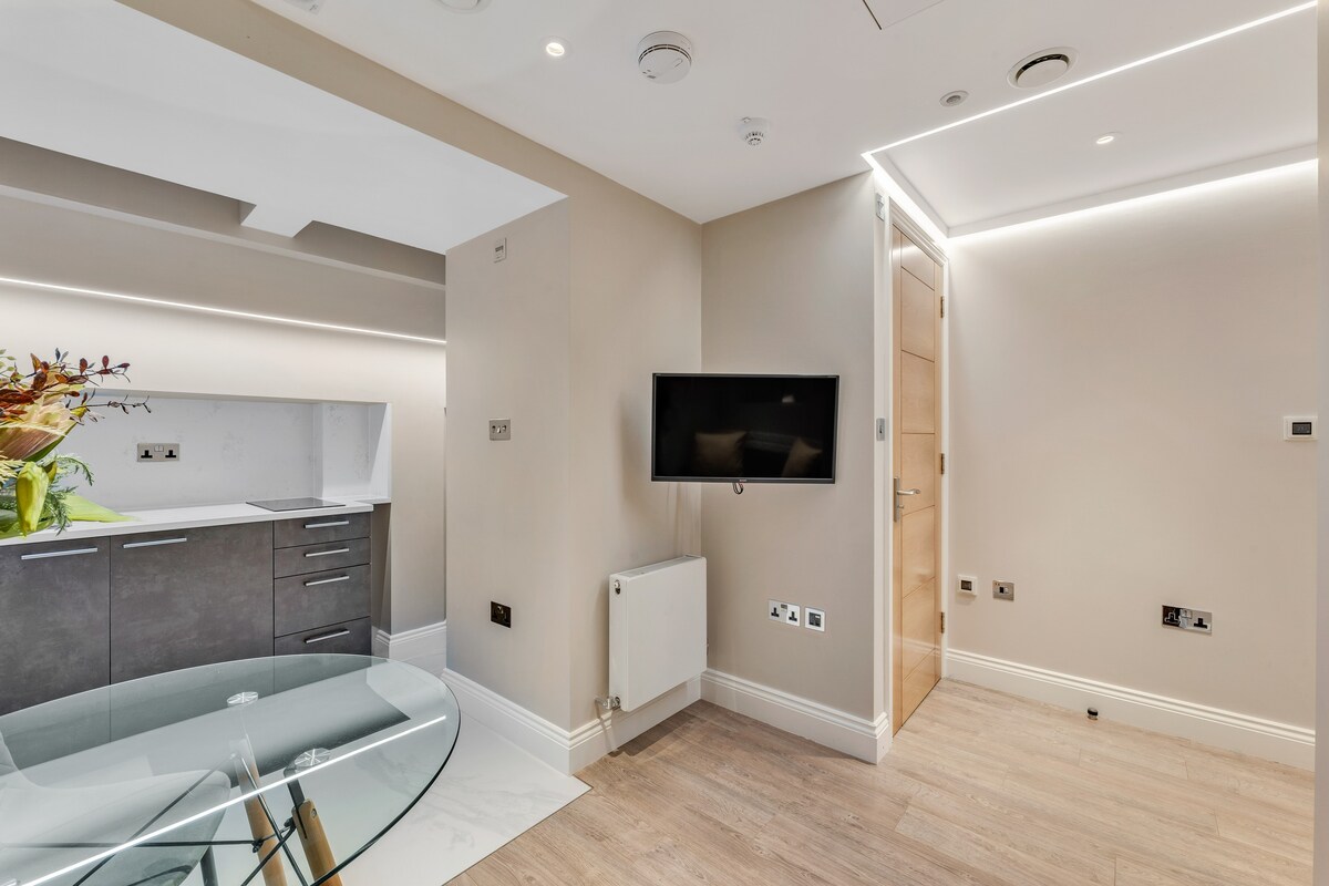 Cozy Basement  Studio Apartment in Farringdon