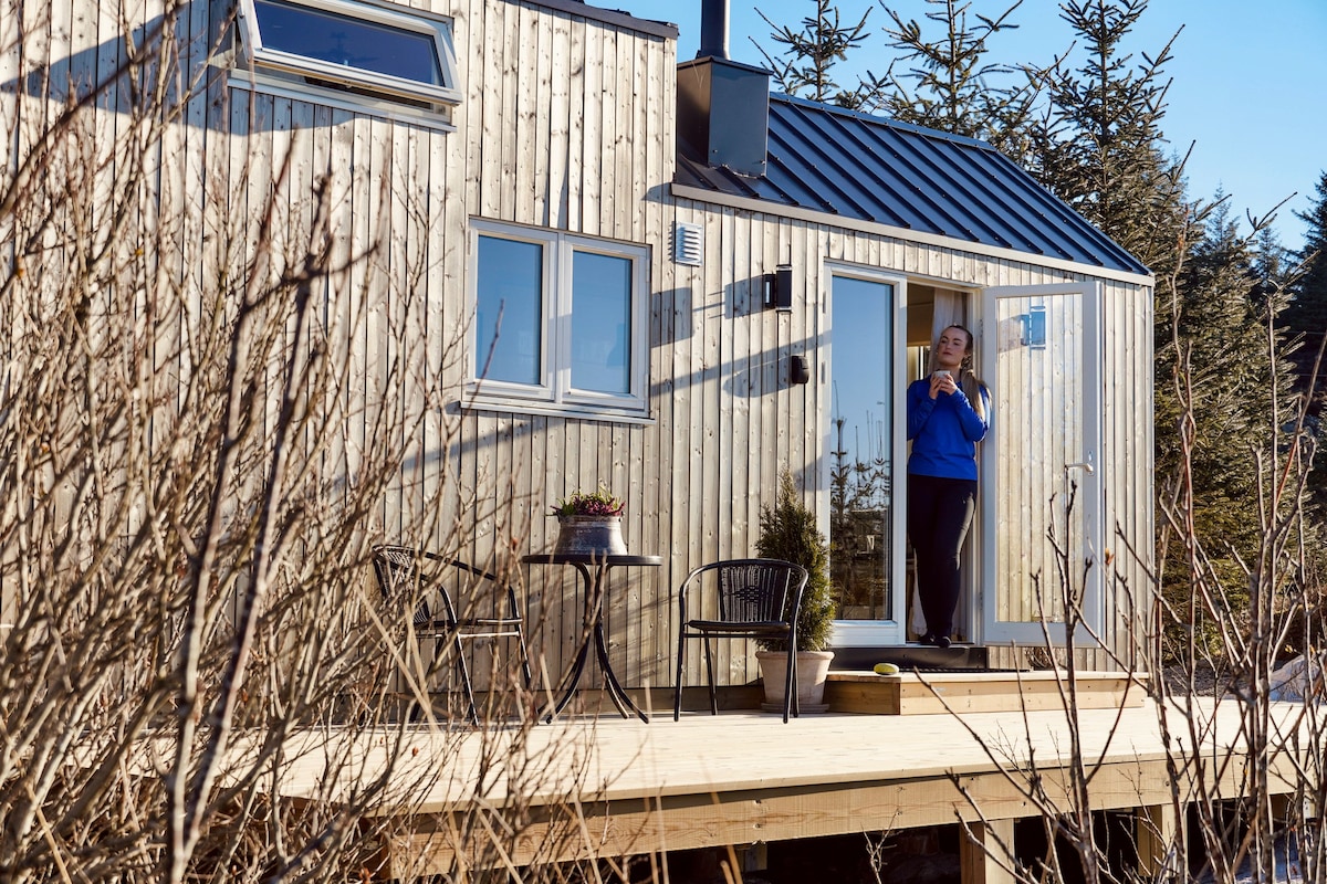 奇妙的Brimnesøy上的微型住宅