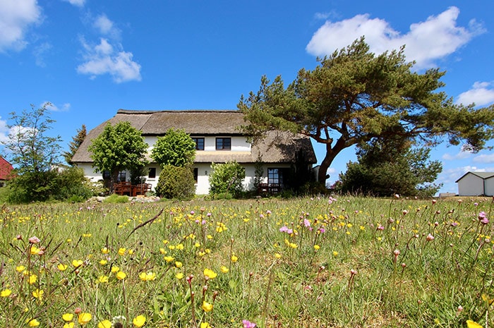 Ferienwohnung Swanti 2P in Neuendorf/Hiddensee