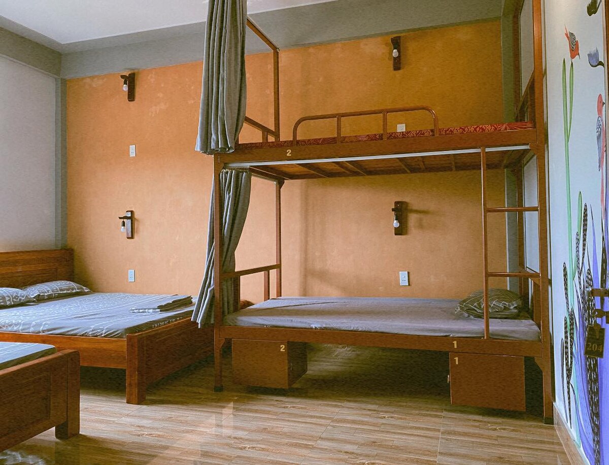 phòng dorm giường tầng tại Cối xay gió homestay
