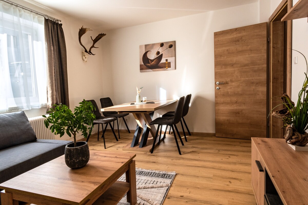 Ferienwohnung im Zentrum 2 min zu Skilift &Therme