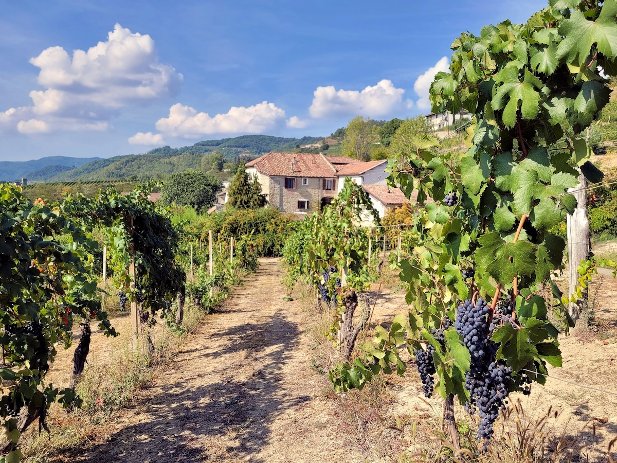 Cascina Marenco | Langhe Country House | CasaGillo