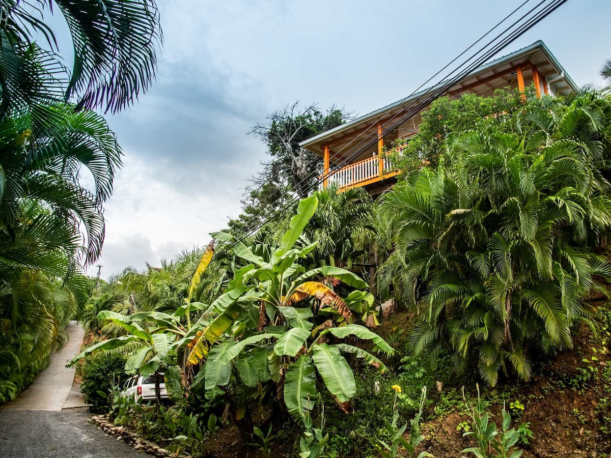 Rumpunch house - Roatan
Velký bungalov s terasou