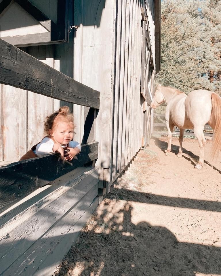 Peaceful Horse Farm Studio