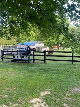 Peaceful Horse Farm Studio