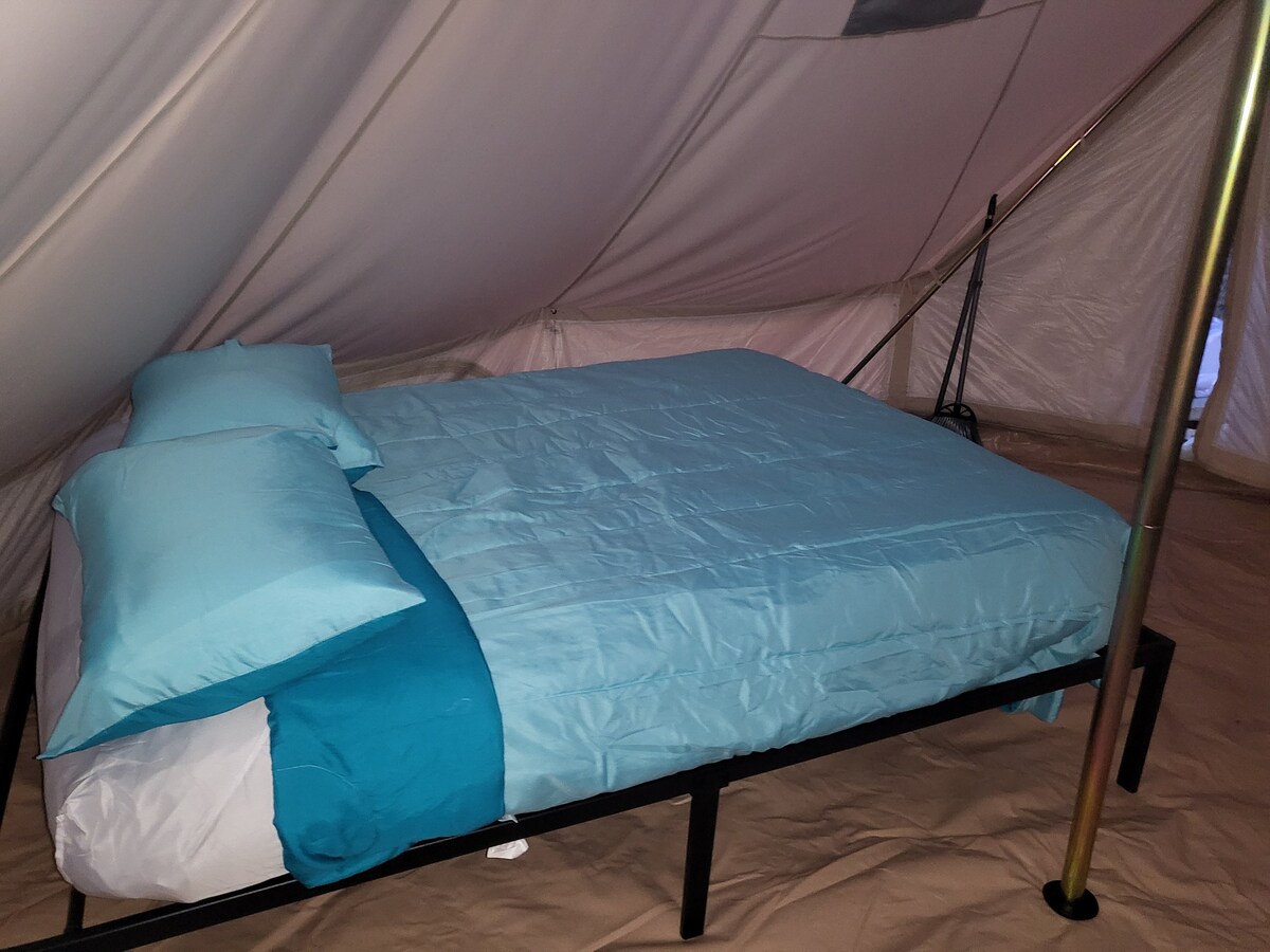 令人愉快的钟形帐篷，适合豪华露营。可住5人