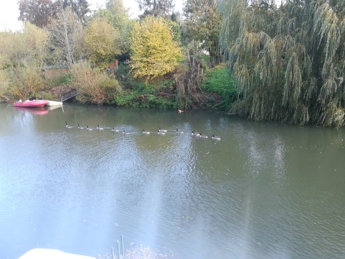 Maisonnette au bord de l'eau