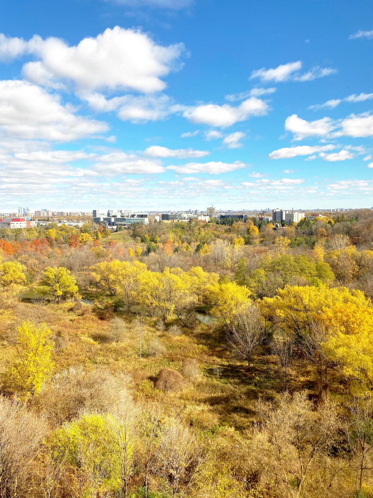 Two Bedroom Condo Minutes Away from YYZ Airport