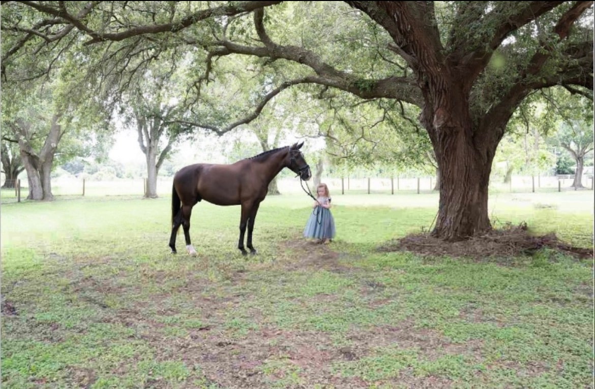 Rustic Oak Acres *婚礼*活动*内容*度假*