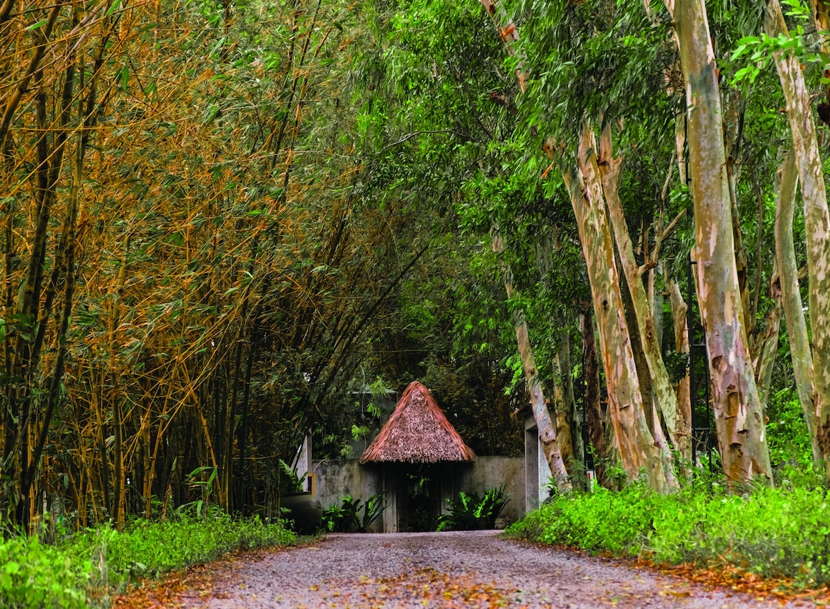 Liz 's Casita In A Hacienda