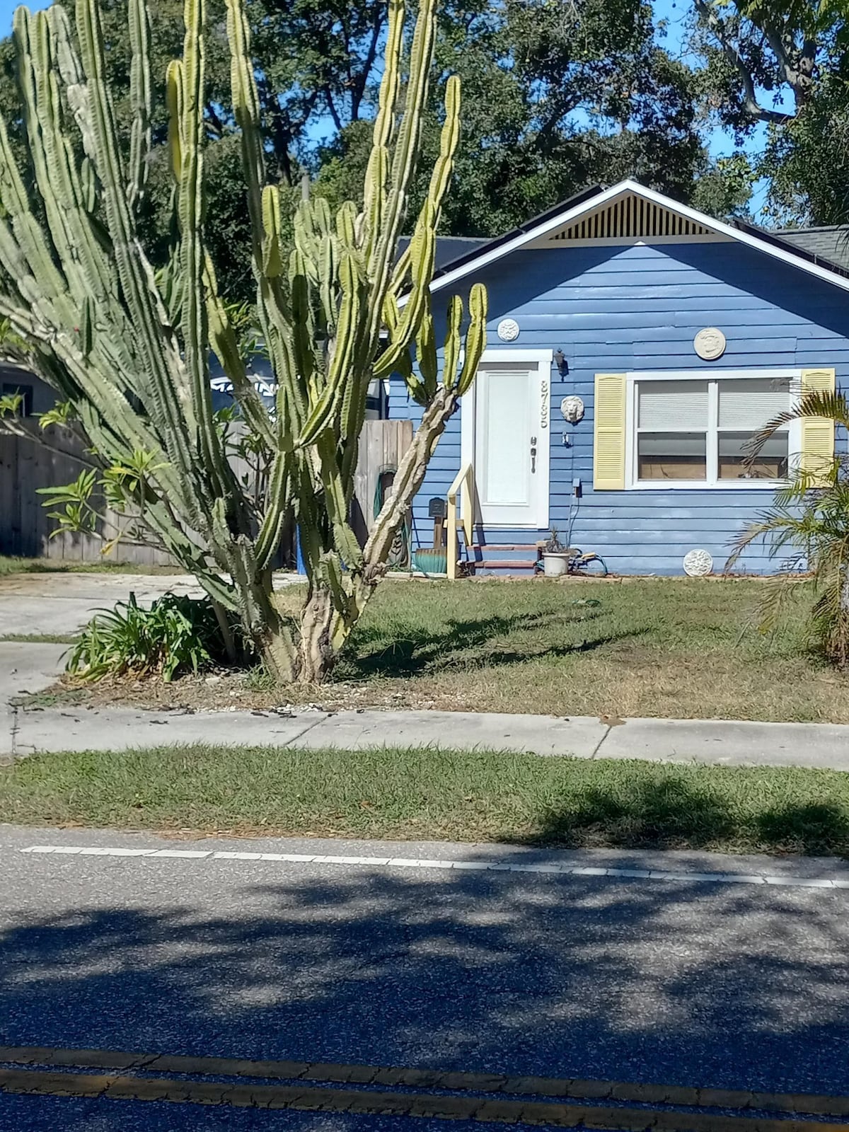 Gorgeous 1 bedroom guest space with pool