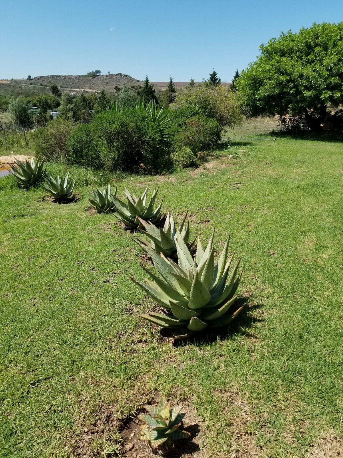 Napier wine farm family unit/pool 20 mins to beach