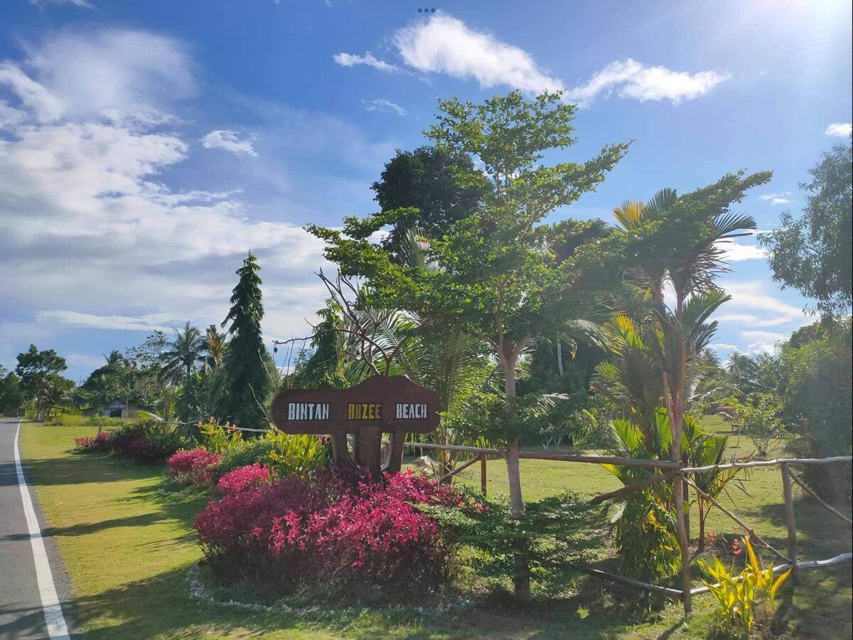 Bintan岛的Bintan Brzee海滩-平房1