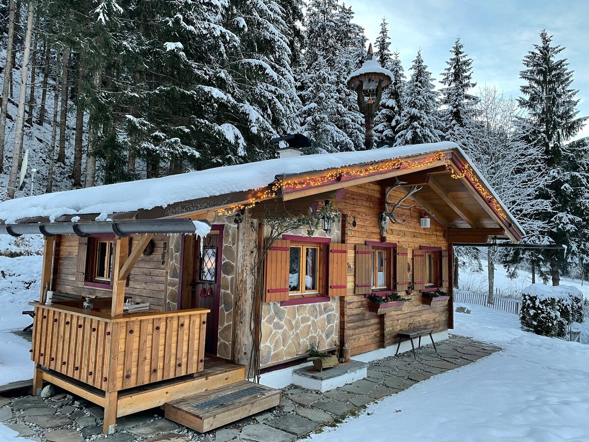 Cosy cabin in the forest of the Kitzbühel Alps