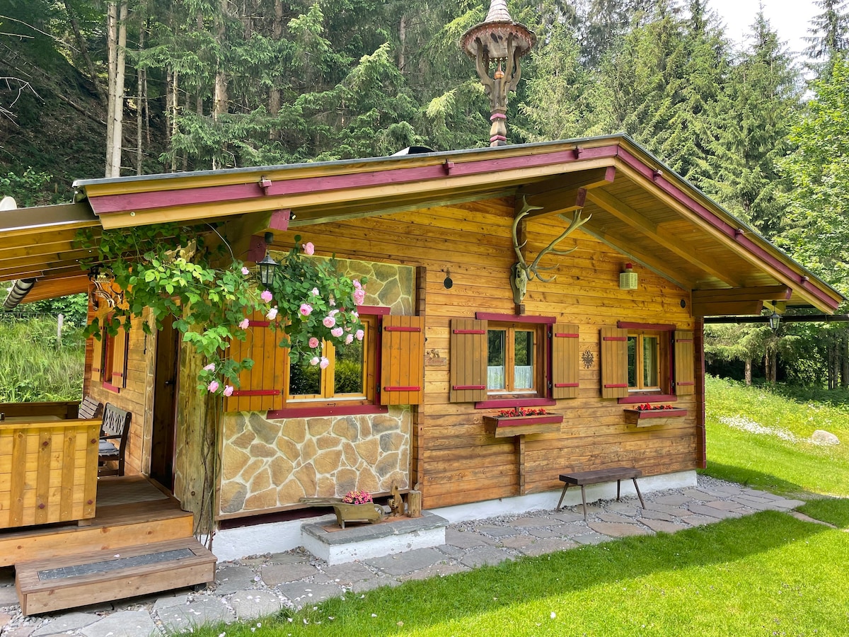 Cosy cabin in the forest of the Kitzbühel Alps