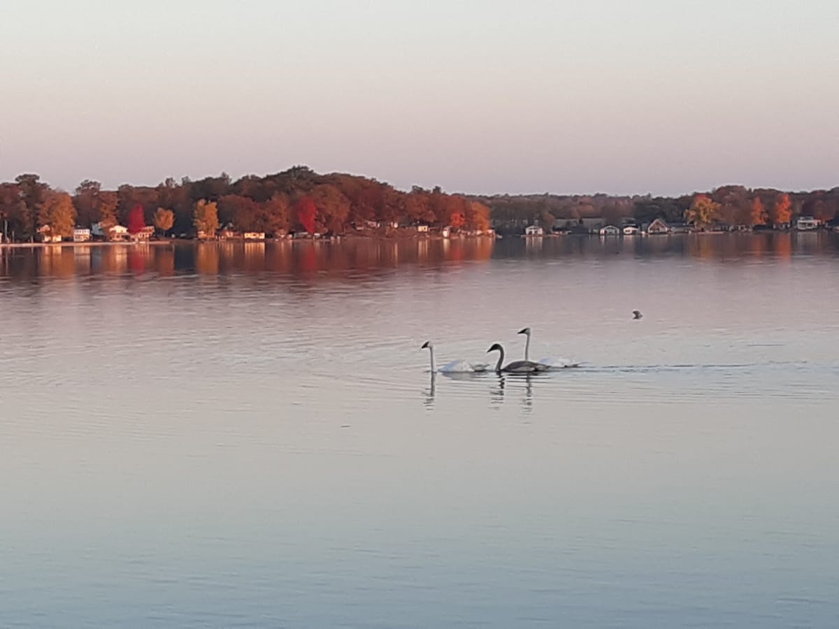 Lakeview and access on Chippewa Lake Michigan