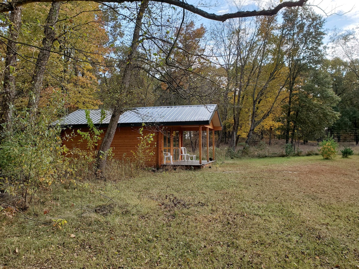 Peaceful cabin in the woods