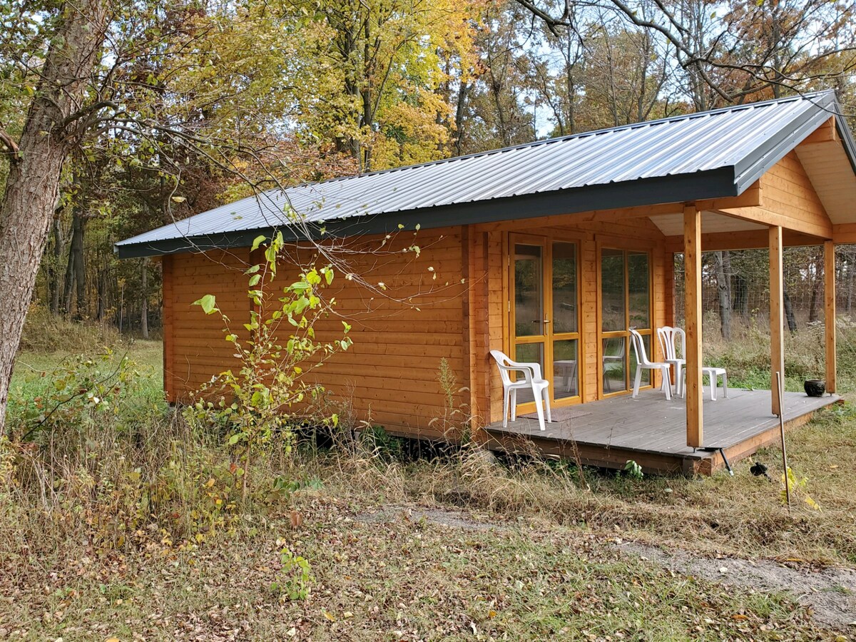 Peaceful cabin in the woods