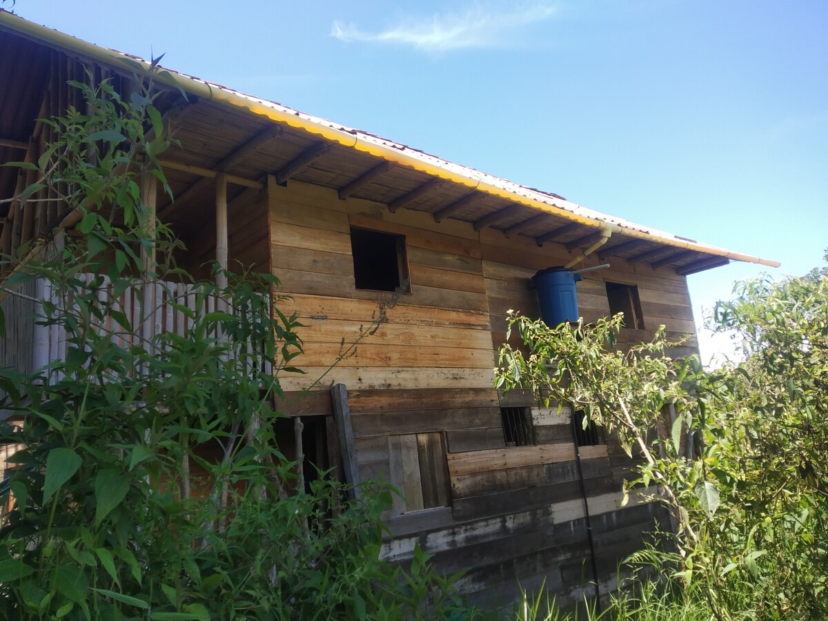 Eco Wood House