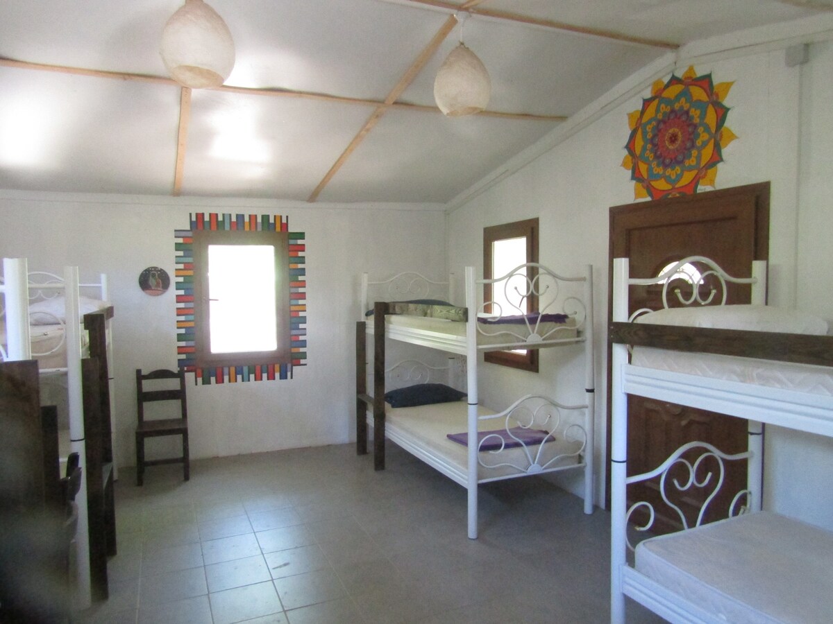 Bodrum Ecofarm Camp & Hostel 4