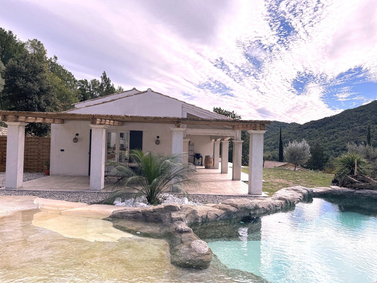 Magnifique villa avec piscine lagon