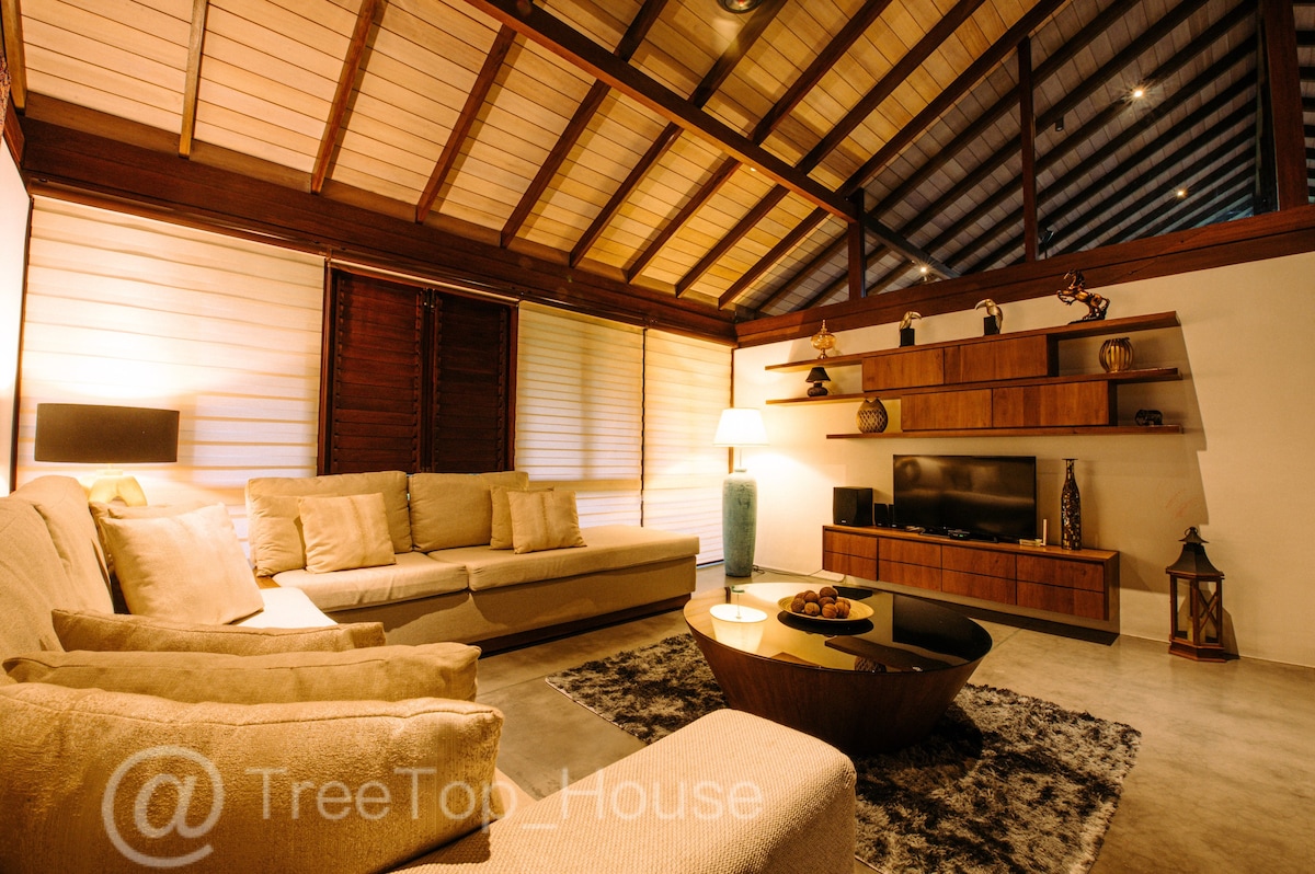 TreeTop_House （ 3卧室豪华别墅）
