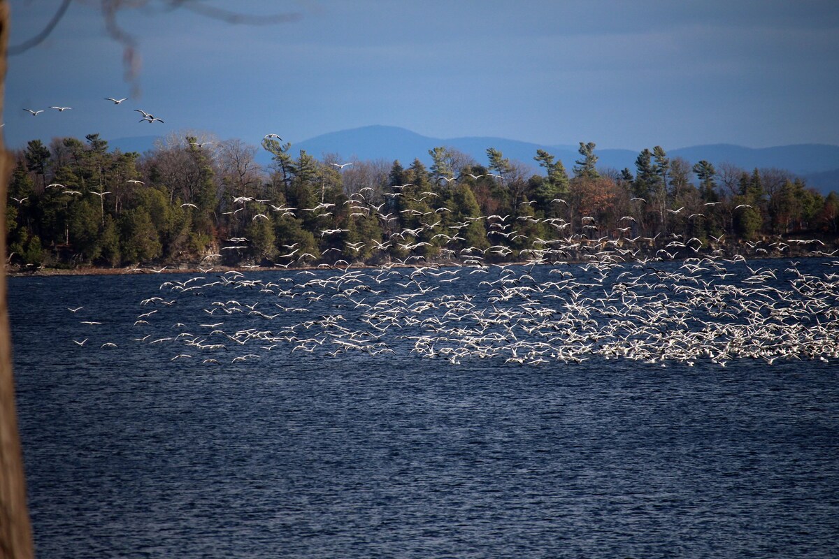 Lake Champlain Lakefront Retreat