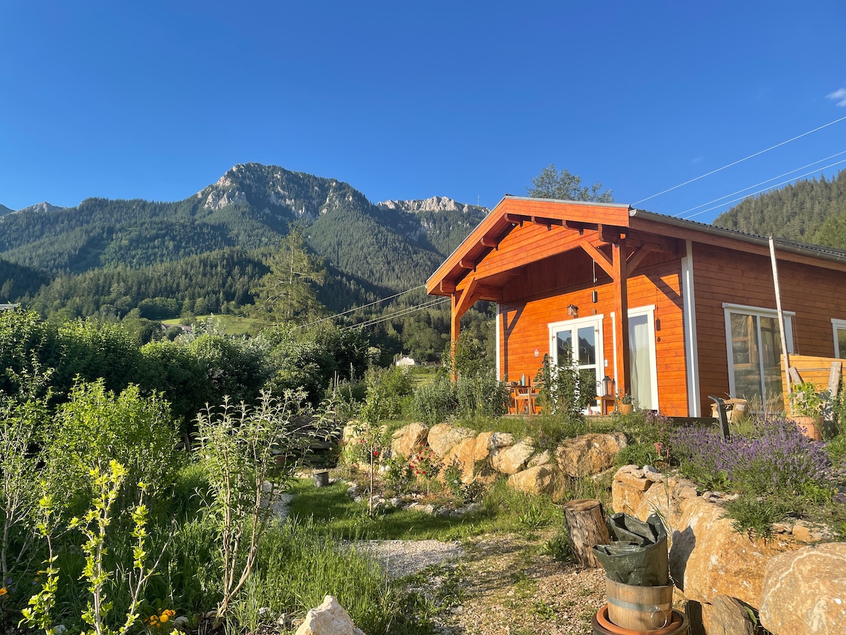 Öko Tiny House in den Bergen