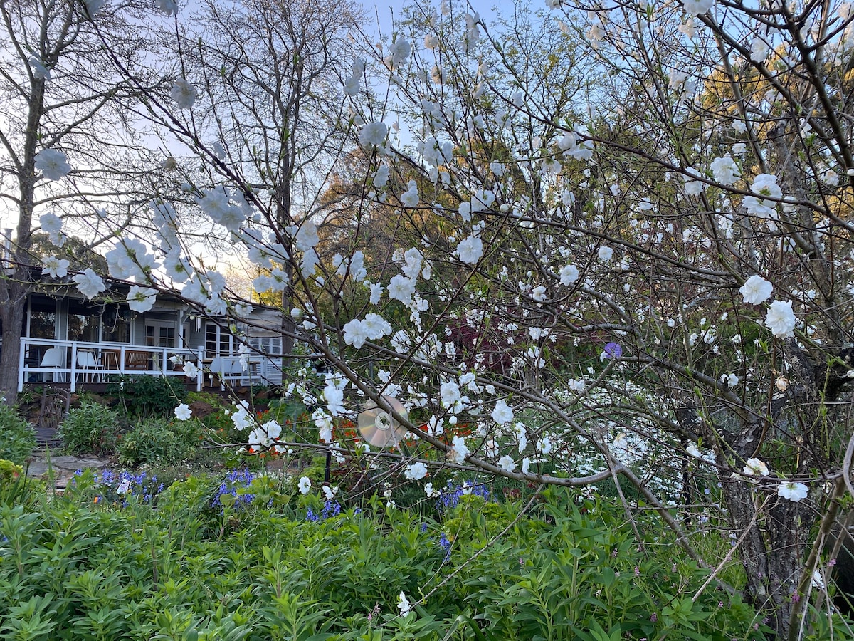 Maslin St Farmhouse