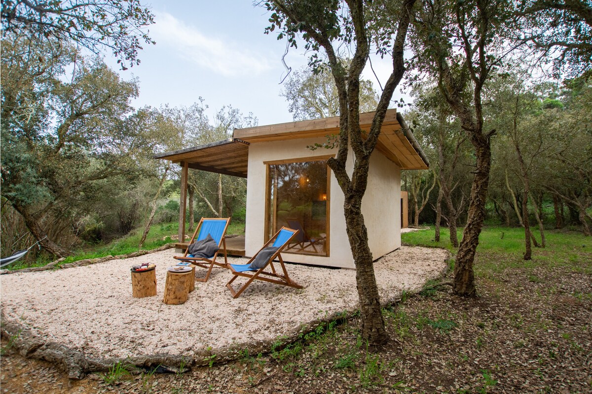 阳光明媚的森林中的微型住宅| Sobreiros小木屋