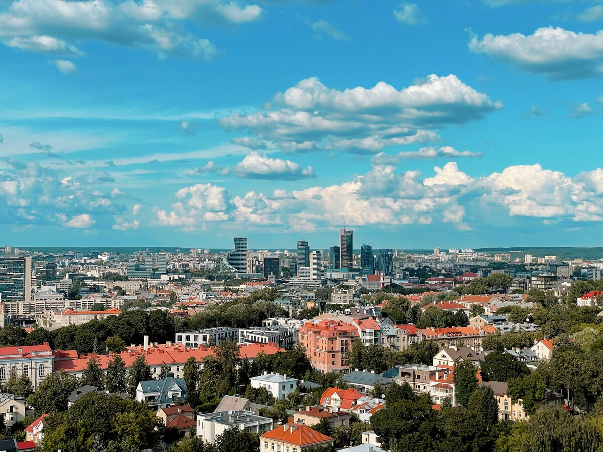 Panoramic Apartment Vilnius