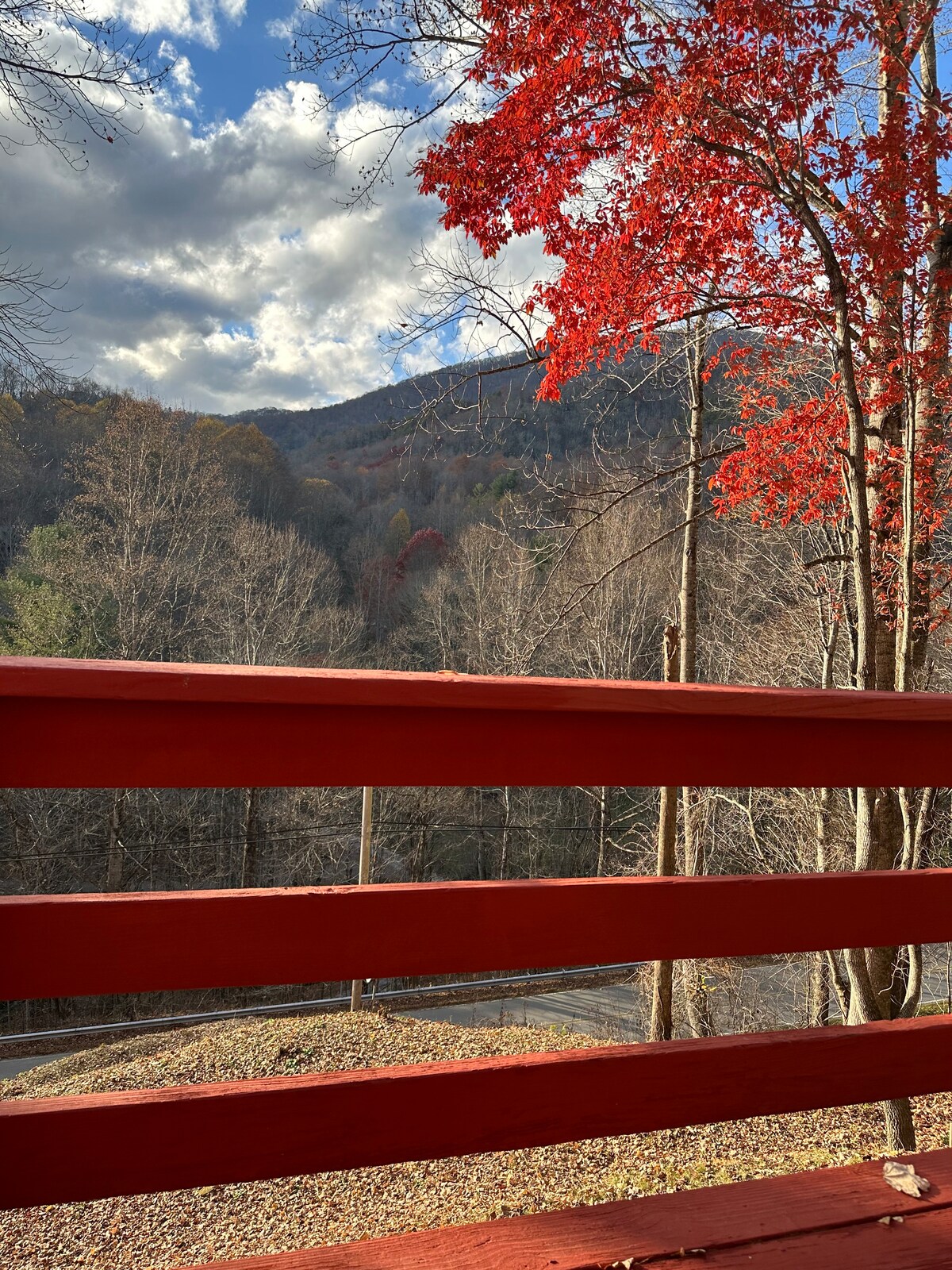 风景优美的2卧室山地滑雪垫，配备热水浴缸