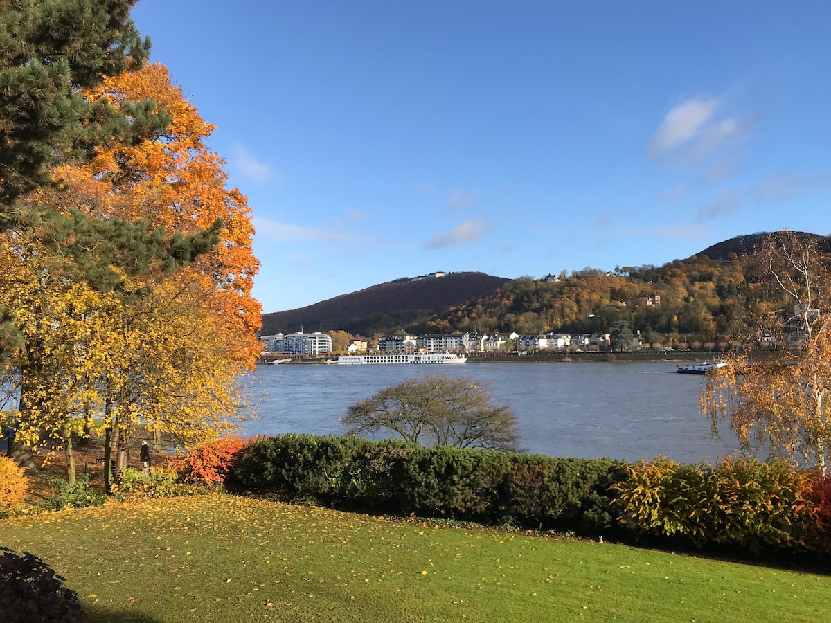 helles modernes Apartment mit Panoramablick Rhein