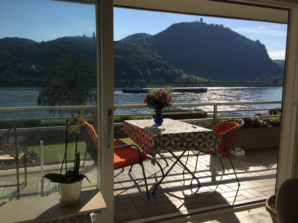 helles modernes Apartment mit Panoramablick Rhein