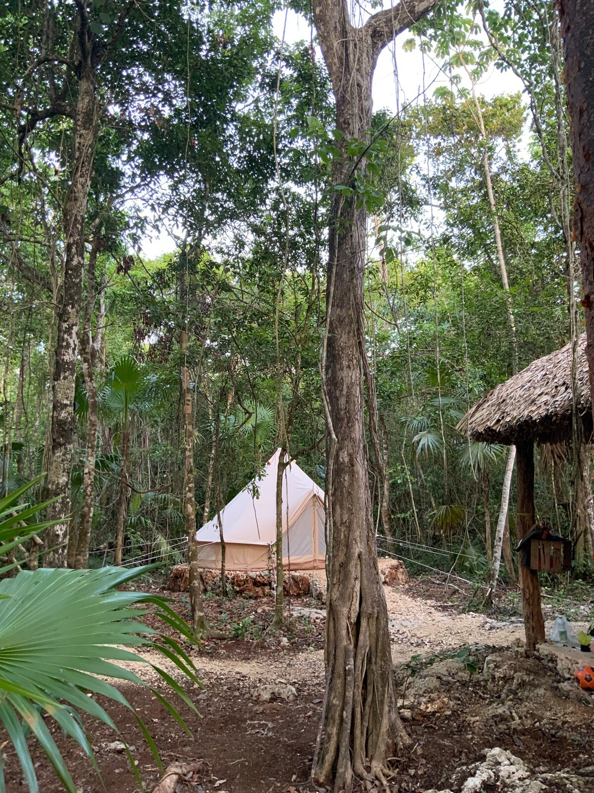 Glamping Ikal, Parque & Spa