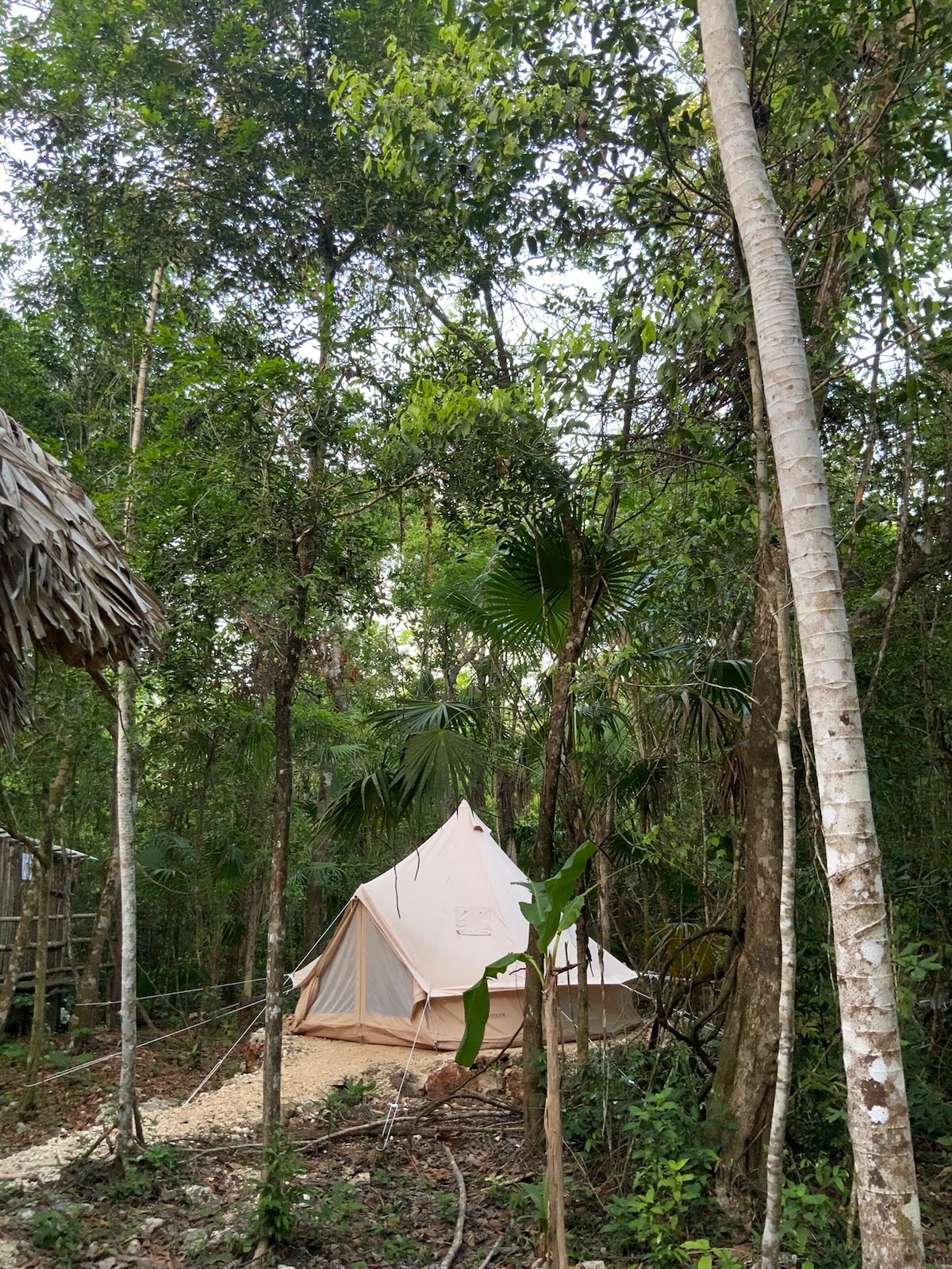 Glamping Ikal, Parque & Spa