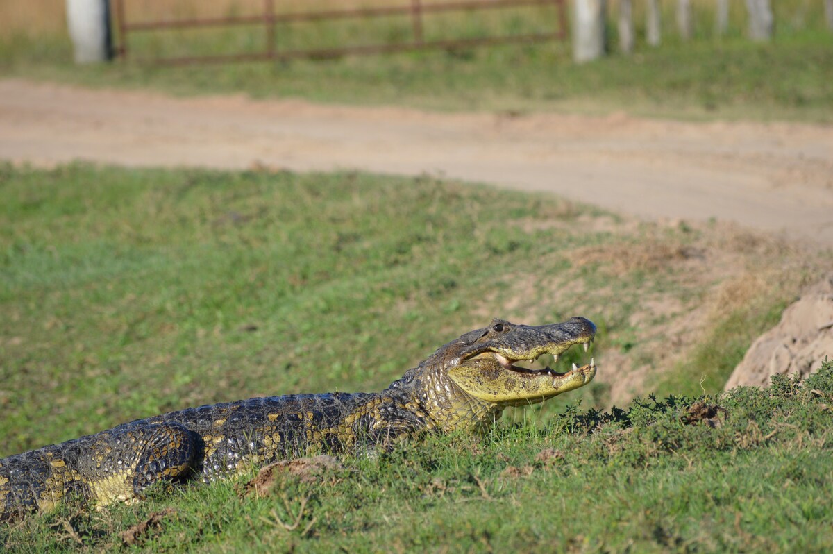 Estancia Santa María de la Concepción, IBERA